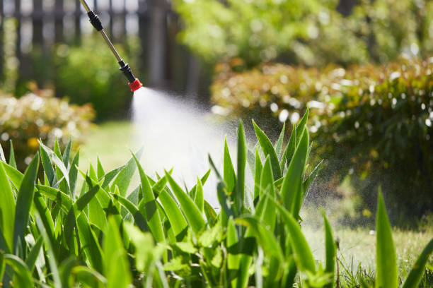 Tamper-Resistant Bait Stations for Rodents in Westchester