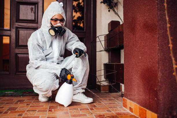 Attic and Crawl Space Rodent Treatment in Westchester