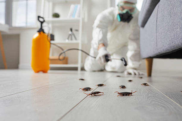 Commercial Rodent Management in Westchester